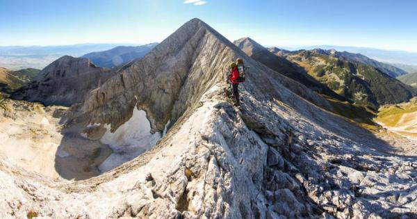 Коалицията от неправителствени организации и граждански групи За да остане
