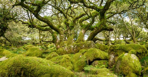 Фентъзи историите ни пренасят на едни от най неузнаваемите места Нищо