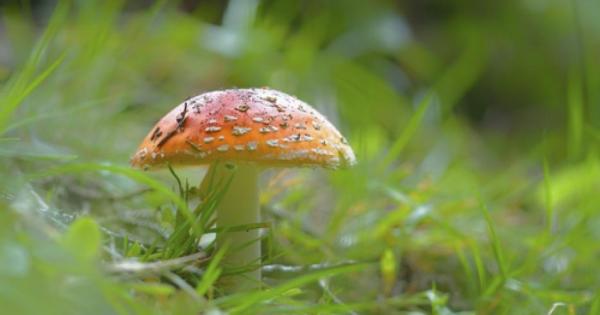 Адвокат Бил Марлър е прекарал последните две десетилетия работейки по