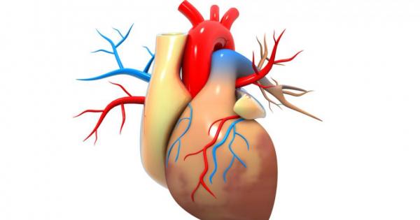 Популярните енергийни напитки с кофеин могат да променят начина по