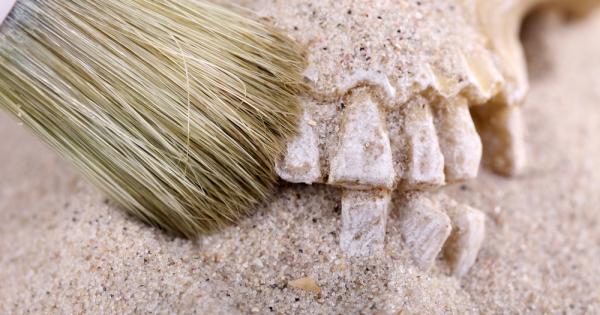 Една малка детска костица погребана дълбоко в далечната Денисовска пещера