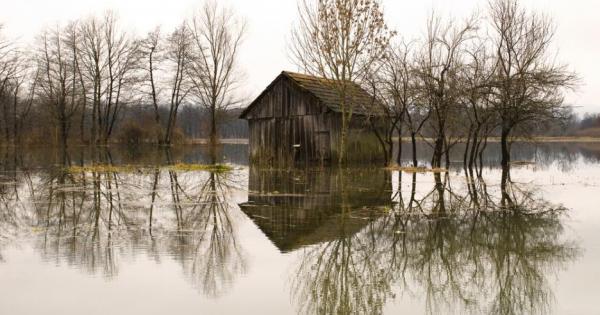 Блатните хора са естествено консервирани човешки трупове открити в блатата