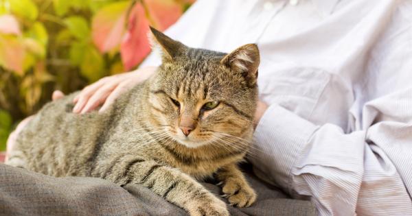 Да се излегнете на дивана с интересна книга чаша топъл