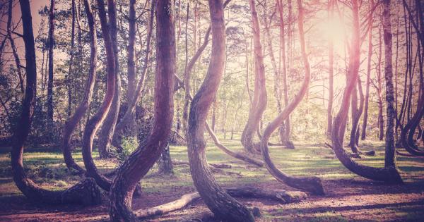 Учените още не могат да определят защо всички дървета край