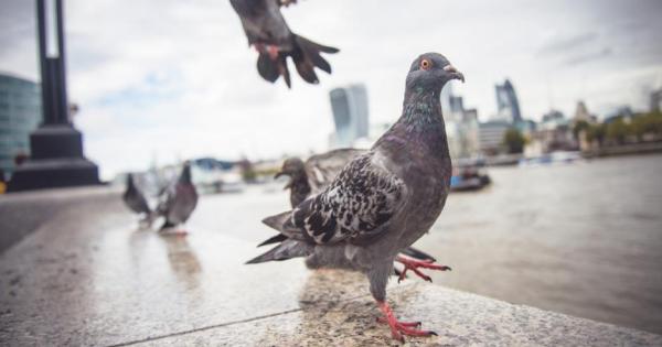 Откриването на праисторически буболечки запазени в кехлибарена смола е доста