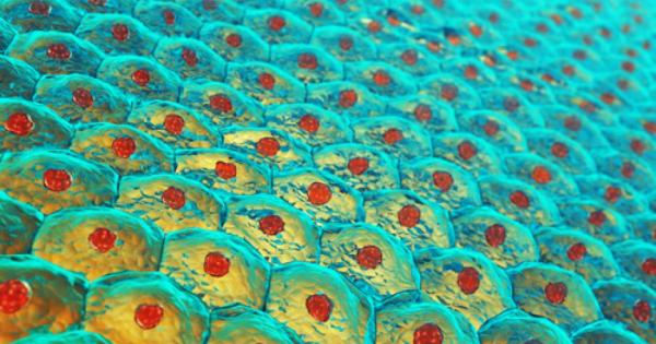 Възрастта реално е само едно число тя не отразява