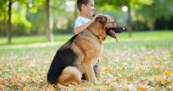 В нашата клиника идваше един човек със своята немска овчарка