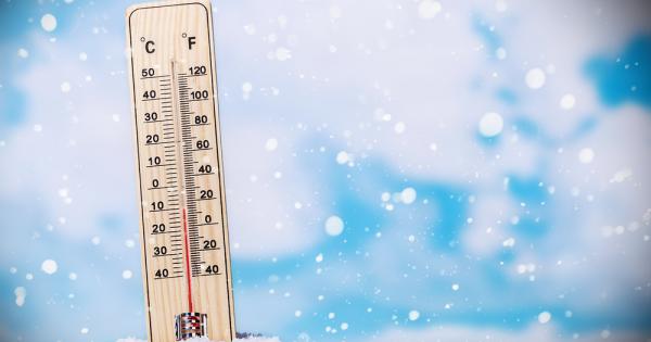 Преди няколко години шведски водачи на снегомобили откриха мъж който