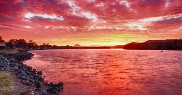 Учени откриха най старата следа от животно до момента оставена във