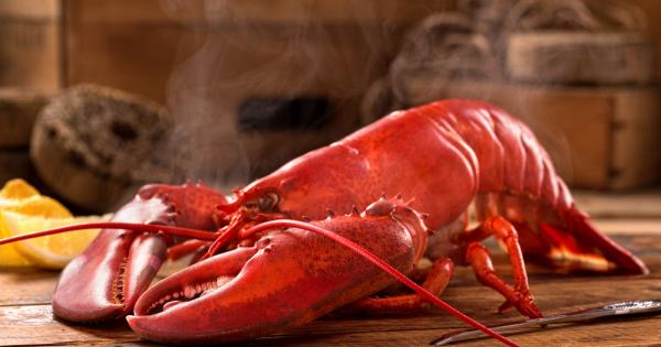 Всички обичат омари Малко масло синьо море прохладна нощ и