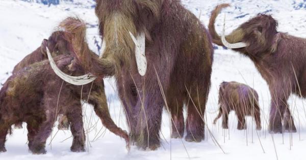 Екип от учени от университета Харвард смятат че могат да