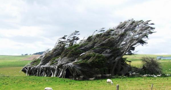 В най южната част на Нова Зеландия не живеят много хора