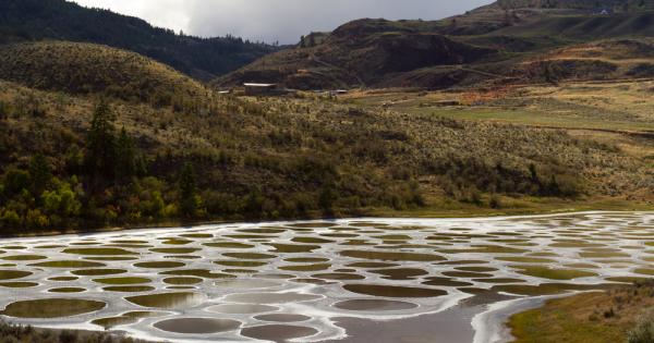 През 1979 година мистериочно биологическо оръжие е излязло извън защитения