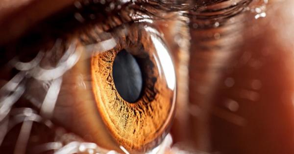 Учени установиха че подмяната на липсващ ген в ретината може