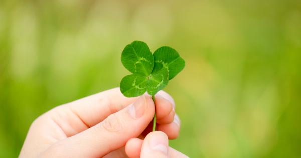 Мнозина вярват че късметът не е шанс и магия Той