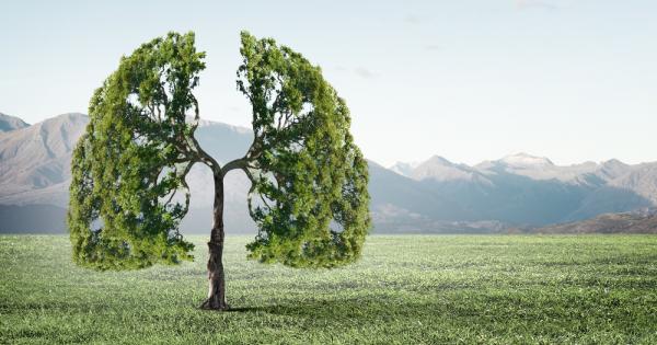 Видео на дишаща гора заснето в Сакре Кьор Квебек набра огромна