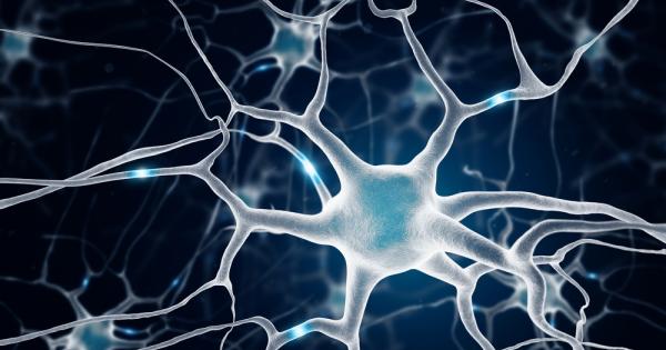 Правилният вид упражнения може да утрои броя на невроните в