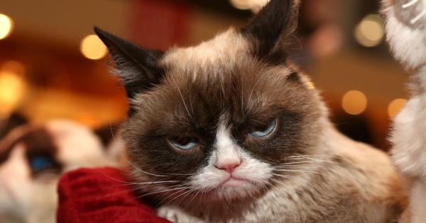 О колко е мила Той е страхотен приятел Радвам се