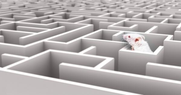 Дългосрочният стрес води до натрупването на макрофаги в мозъка което