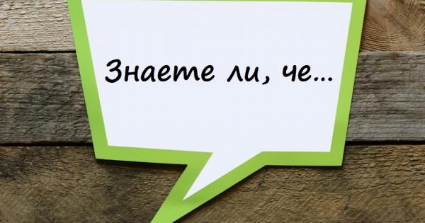 Независимо колко книги сте прочели през живота си винаги може