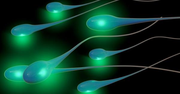 Спермата преживява трудни времена концентрацията сперматозоиди в еякулата намалява с
