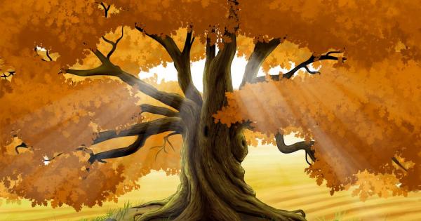 В никое друго време в сравнение с есента Земята не