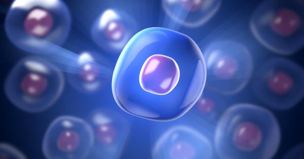 Ново изследване твърди че нашите клетки остават живи в продължение