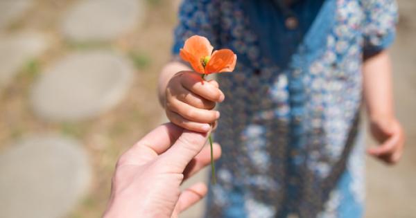 Всичко от което се нуждаем е любов любов и
