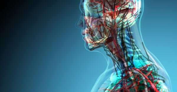 Какво знаем за телата си А дали всичко е вярно пита