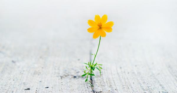 Твърдението че човечеството е овладяло природата не е съвсем вярно