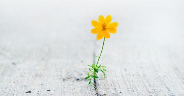 Кога според вас е най подходящото време за промяна Отговорът е