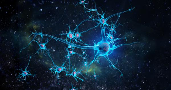 За първи път учените успяха да открият гигантски неврон който