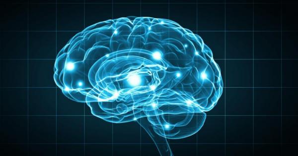 Невроучени откриха че мозъкът влиза във високо състояние на съзнанието