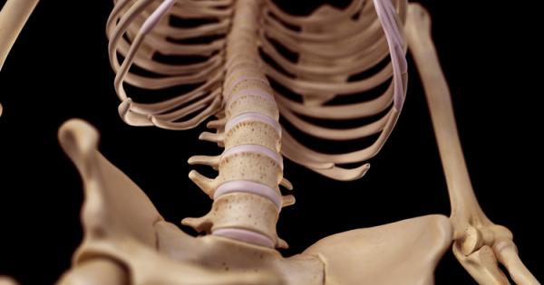 Нов анализ на 3 3 милиона годишна вкаменелост на хоминид намерена