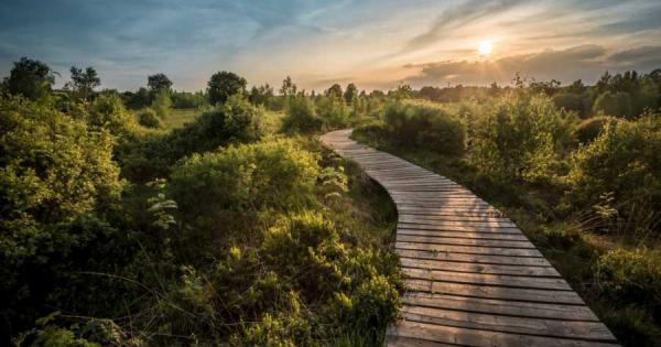 Мъдростта не се крие в това да знаеш всички отговори