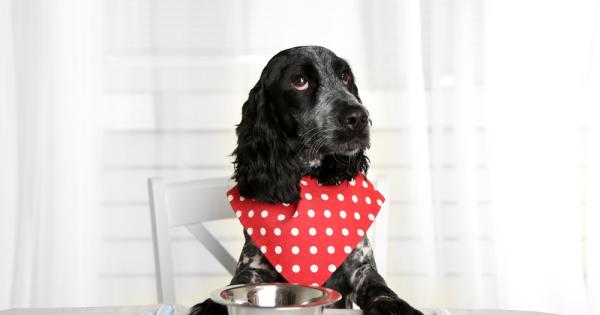 Колкото и да се изкушавате да наблюдавате доволната физиономия на