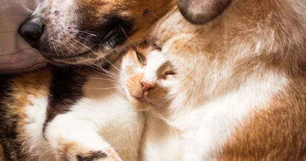 Ново изследване разкрива изключителните и понякога може би крайни саможертви