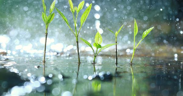 Може би си мислите че мечтата на всяко растение е да