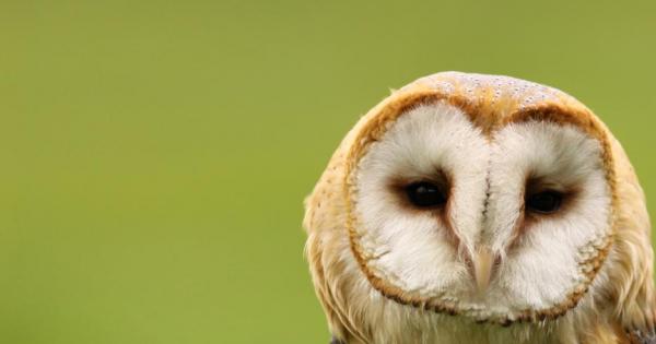 Често се случва да сме разстроени или наскърбени от действията