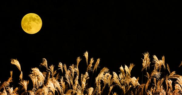 Тази вечер в рамките на страховития за суеверниците Петък