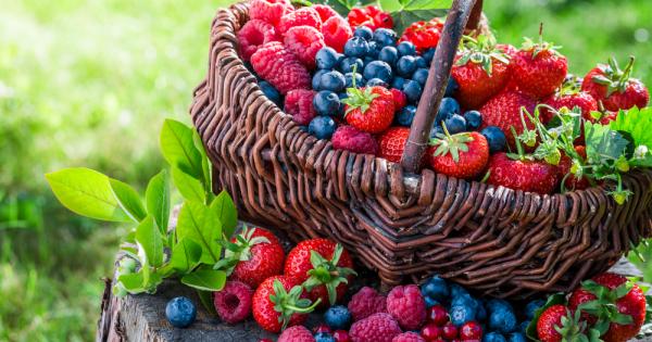 Къпините боровинките и ягодите намаляват упадъка на когнитивните способности който