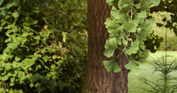 Като изключим свалките секса за една нощ и други социални