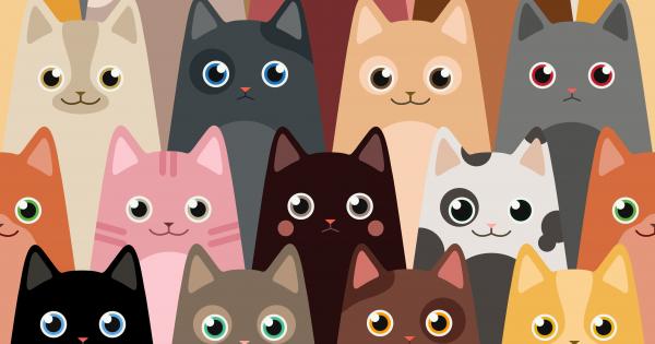 Когато Доминик Хъсън и Луис Вернеу от Квебек Канада се