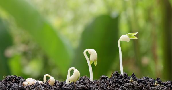 Един и същи период от време изглежда пo кратък преди да