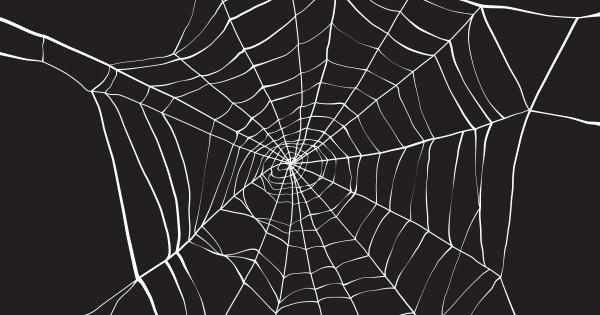 Мрежите на паяците са достатъчно здрави за да удържат теглото