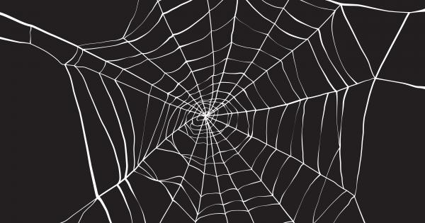 Мрежите на паяците са достатъчно здрави за да удържат теглото