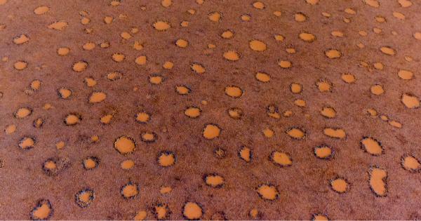 Едно естествено образувание което се наблюдава в две отделни кътчета