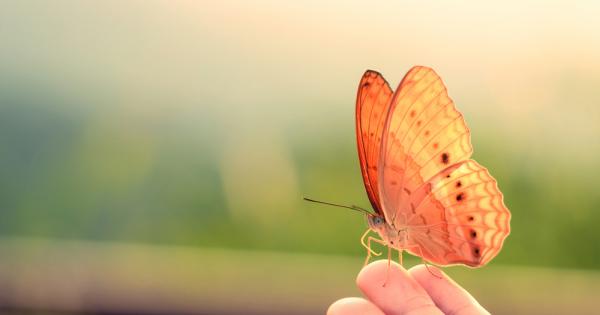 Веднъж в един пашкул се появила малка пукнатина Случайно минаващ