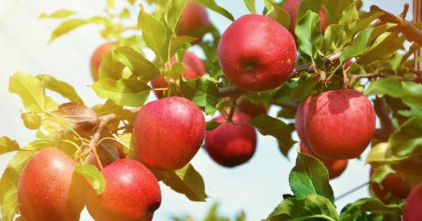 Редовната закуска с една две ябълки или пресен ябълков сок предотвратява