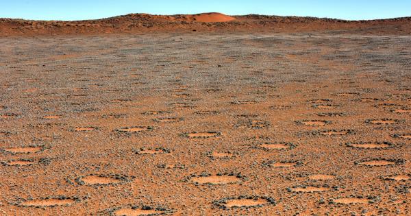 Чували ли сте за загадъчните кръгове из песъчливите пустинни терени